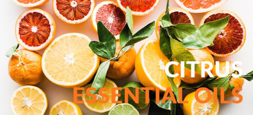 A Complete Guide To Citrus Essential Oils Freshskin Beauty