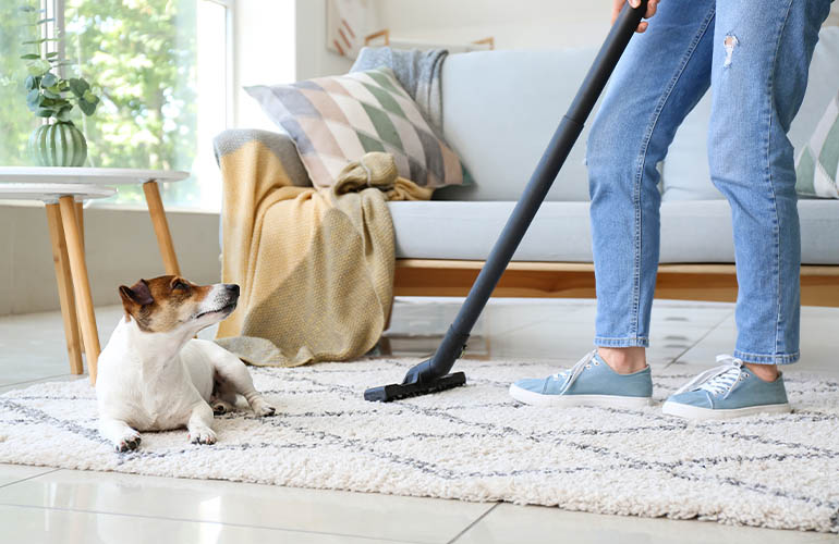person with hoover and dog on carpet