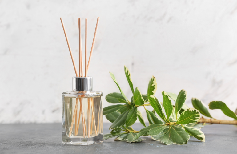 Reed diffuser with sticks